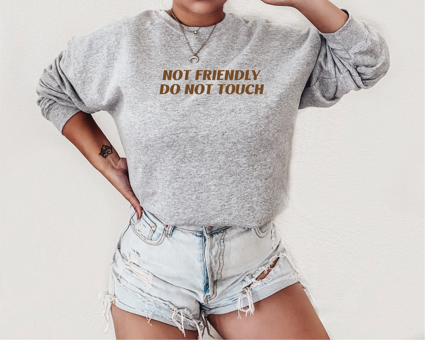 Not Friendly Not Touch, Funny Introvert Unisex Screen Printed Shirt